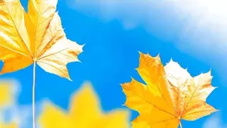 Hindi Sex Stories part2 &ndash; fucking idiots