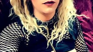 Missy the sissy wunts used