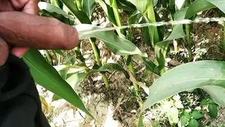 Sex is life, pissing outdoors