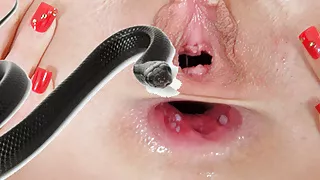 Big Black Snake Attack