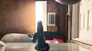 Sneak into the laundry room