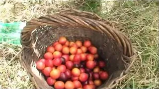 Giovani troie godono con i genitori - Episode 4