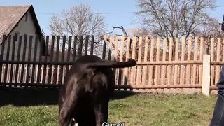 Athletic Straight Guy Gets Fucked In The Ass For The First Time In Order To Make Some Money That He Needs - BigStr