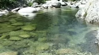 CORSICA Love Stories!!! - Chapter #02