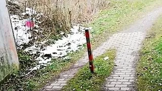 Amateursex, Mollige Frauen, Sperma, Abspritzen, Europäischer Sex, Schwuler Sex