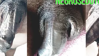 Police Showing Their Big Dick, I Have Two Armars Which Would You