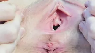 Furz klaffende Muschi weit auf - Nahaufnahme