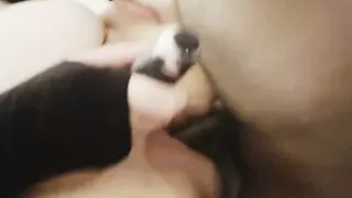 BBW Cums Quickly Vibing Pussy Whilst Getting Fucked Hard & Rough by BBC