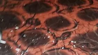 Assymale ass fuck part 2