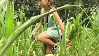 Junge Maedels verstecken sich im hohen Mais um zu spielen