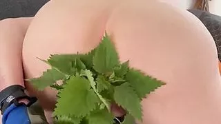 Bearstgt nettles on my hole