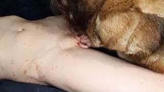 hot milf fucks her lover, blowjob, titfuck, my butterfly pussy has to pee