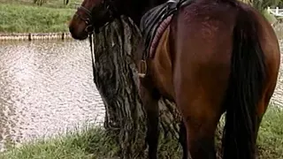 Backey Jakic (Full Movie HD)