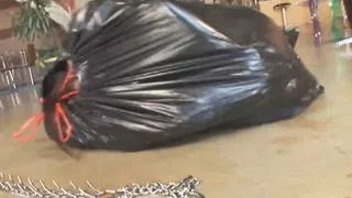 Black Monster Cocks VS Nymphos!!! - Vol. #01