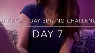 Sph Cuck 7 Day Edging Challenge Day 7