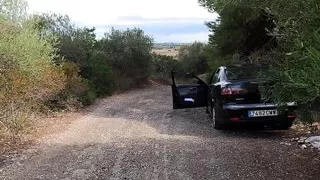 2 Weiber in der Wildnis an meinen Schwanz gelasseen