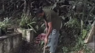 Thailand Lady-Boy - Vol. #01