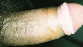 Indian cock with cream