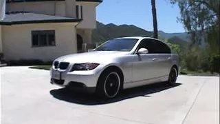 Lovely Bitches!!!! - Vol. #02