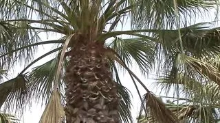 Young Bitch at School