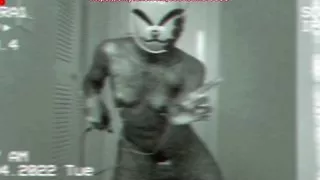 Kitty girl wearing nipple clamps and getting freaky