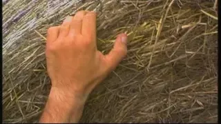 EROTISCHE MARCHEN - Chapter #03