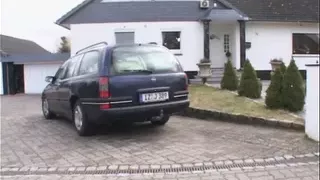 DAS OVERFICKTE AU PAIR MADCHEN - Vol. #02