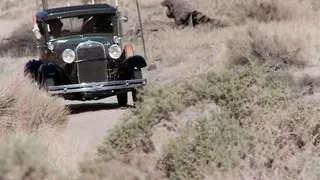 Sharing hard cocks makes these girls happier than anything else