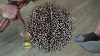 Rinse your nose with the home helper’s piss