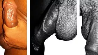 I Am Back From The Academy, So Eager, Come Here To Help Me