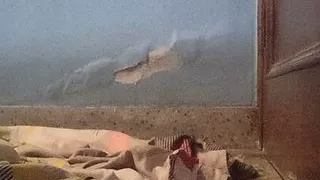 Ass gaping with veggies and ball