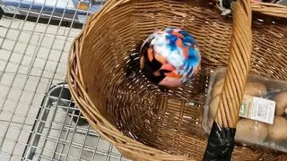 Sexspielzeug bei KAUFLAND kaufen...