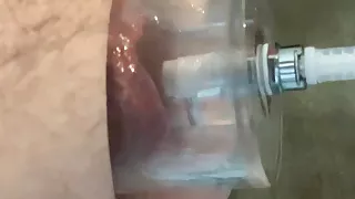 Rosebud pumping, Fucking, Fisting and nice mix of precum and piss pumped out at the end