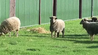 Hot sex in the German countryside 2 - Episode 5