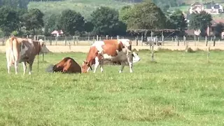 Hot sex in the German countryside 2 - Episode 7