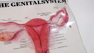 Crazy sex for sluts in heat - Episode 2