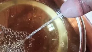 Pee compilation in a bowl