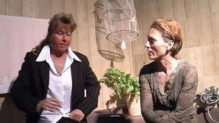 Zwei Pumas auf der Suche nach Liebe