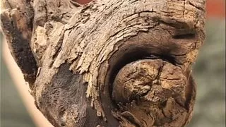 Haus frauen privat (Full Movie)