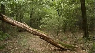 Topf sklaven (Full Movie)