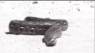 Le schiave anali di Sirius (Full Movie HD Restyling Version)