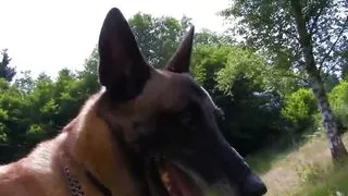 Anal fucking brunette small tits babe Mia Moore in the