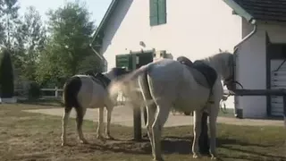 Double penetration party (Full Movie)