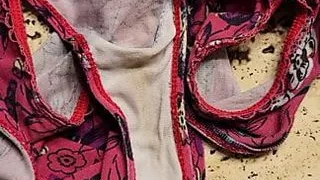 I finally cum on my sister in law's dirty panties