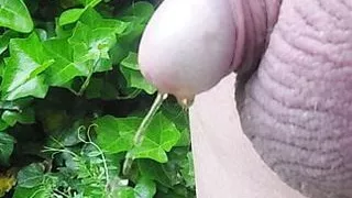 To piss or not to piss