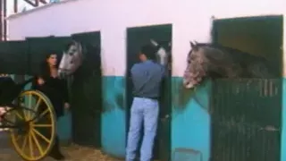 Die zigeuner kojigin (Full Movie)