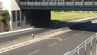 SEMPLICEMENTE PORCHE - (Film Completo)