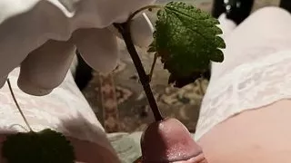 Meinen winzigen Schwanz mit Brennnesseln zu beschallen und auf mein Sofa zu pissen.