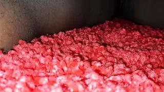 I love to fuck everyday