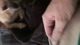 Tiny sissy Mädchen spielen mit umgekehrter Klitoris für Freddy